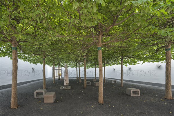 Relaxation room with plane trees