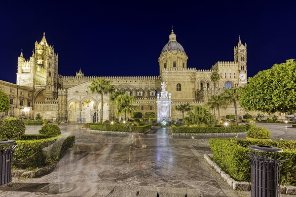 Cathedral Maria Santissima Assunta at night