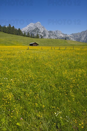 Walder-Alm