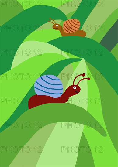 Naive illustration