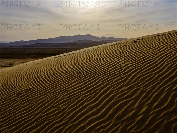 Sand dunes of Elsen Tasarkhai