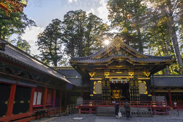 Magnificent Tosho-gu Shrine from the 17th century