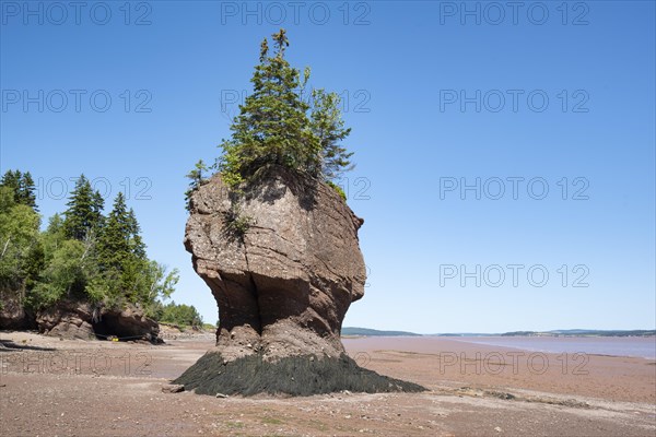 Hopewell Rocks also Flowerpot Rocks