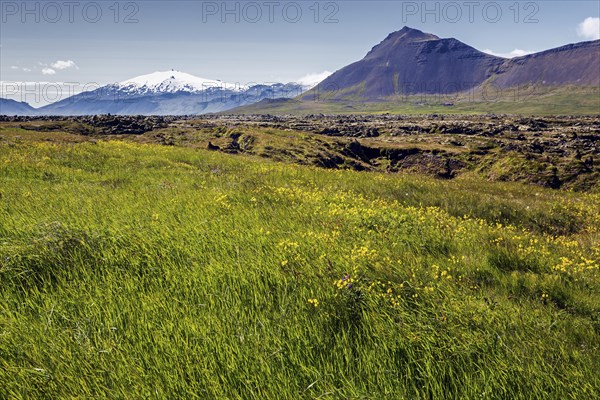 Volcanic landscape