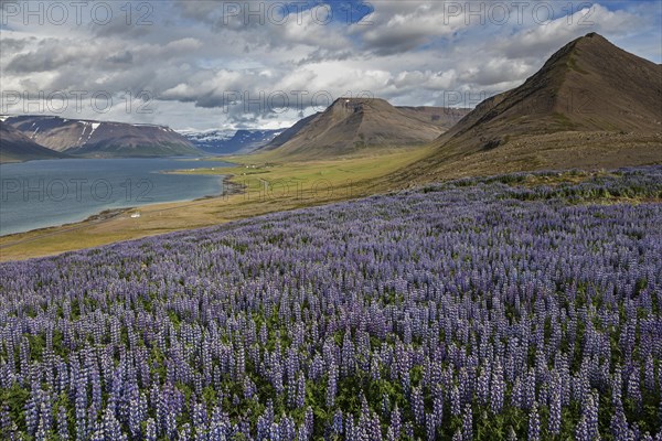 View of fjord landscape