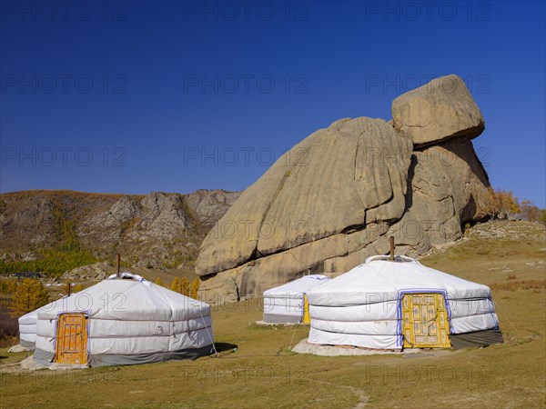 Yurts under the Turtle Rock