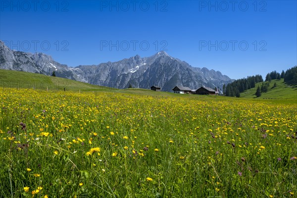 Walder-Alm