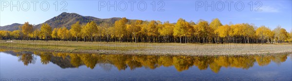 Panorama