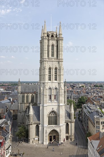 View from the tower Belfort to Saint Bavo Cathedral