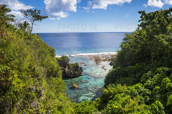 Low tide pools at coast