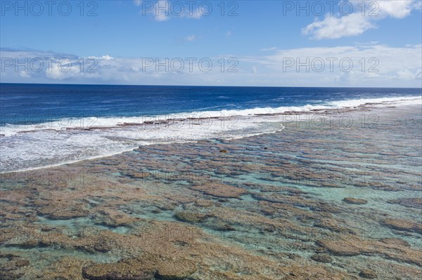 Low tide pools
