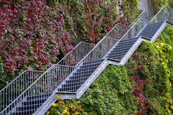 Staircase to green house facade