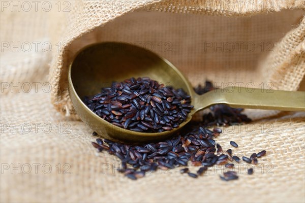 Black rice