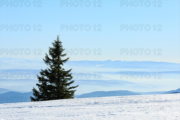 View from the snow-covered summit of the Belchen to mountain ranges and alpine chain Black Forest