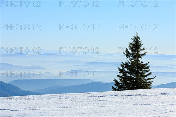 View from the snow-covered summit of the Belchen to mountain ranges and alpine chain Black Forest