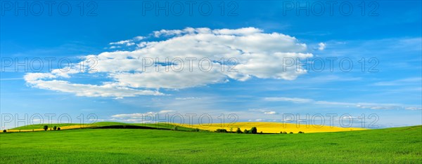 Panorama