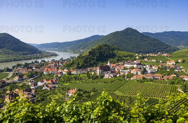 Vineyards