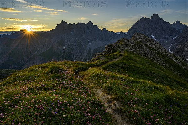 Mountain path with flower meadow at sunrise in mountain landscape