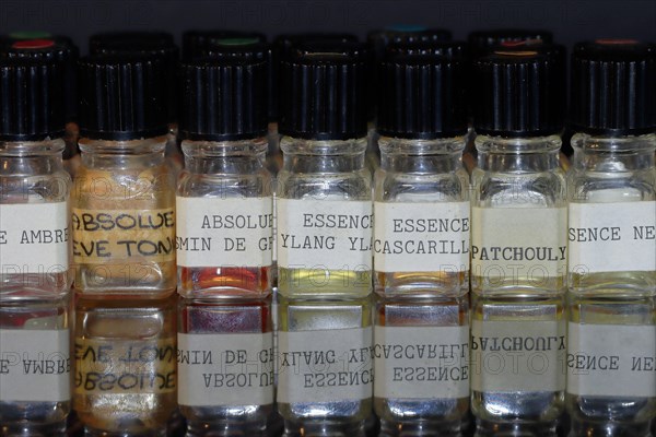 Small bottles with different essences for perfume production
