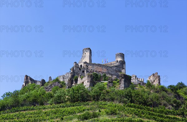 Wine-growing region