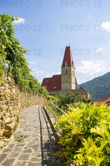 Gothic parish church
