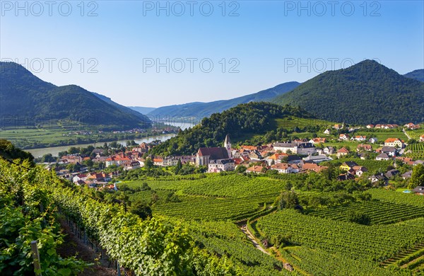 Vineyards