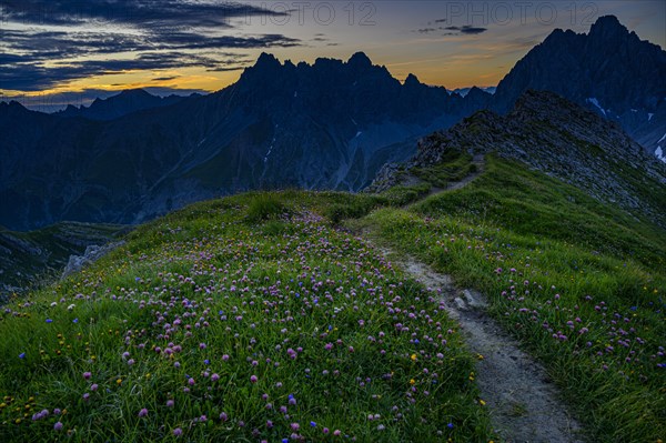Mountain path with flower meadow at sunrise in mountain landscape