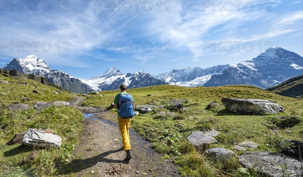 Hiker