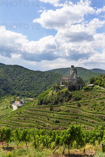 Wine-growing region