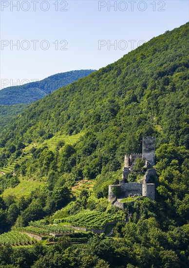 Ruins of Hinterhaus