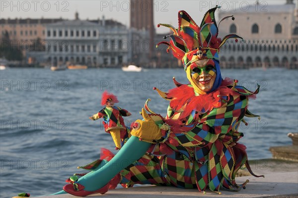 Harlequin