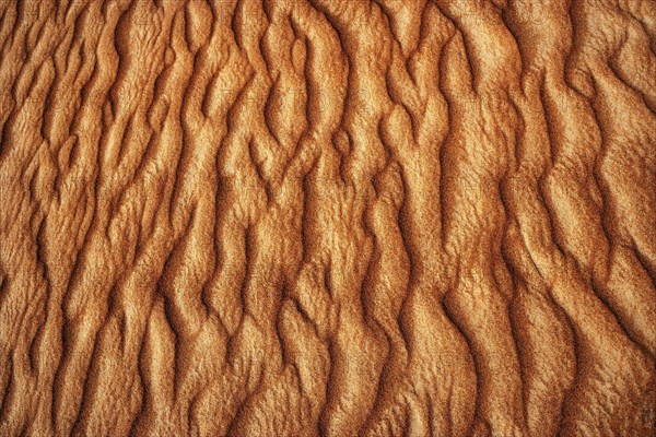 Wave structure