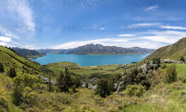 Lake Hawea and mountain panorama