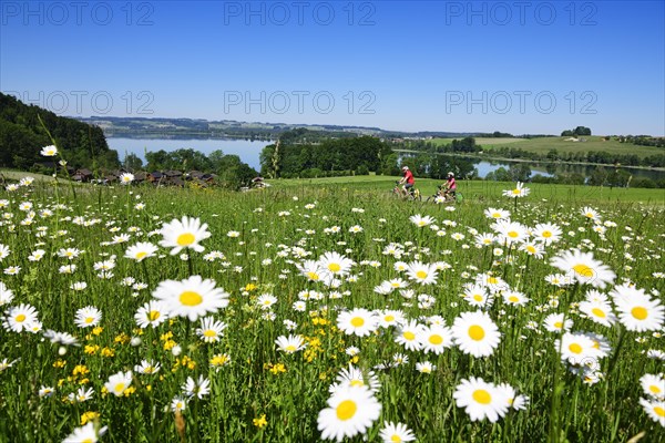 Couple with electric bikes riding above Lake Mattsee