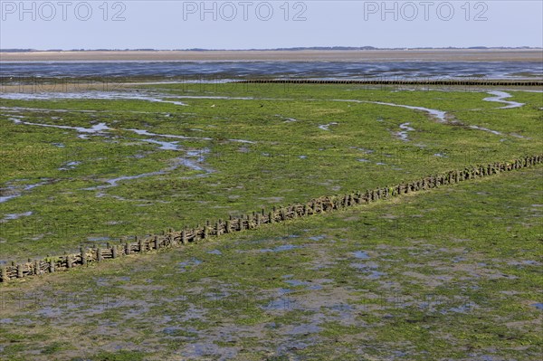 Wadden Sea at low tide on Amrum Island