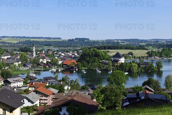 View of Mattsee and the collegiate church