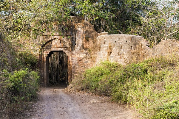 Ranthambhore fort
