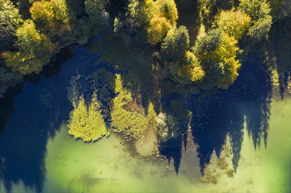 Natural lakeshore at the Freibergsee from above