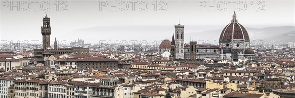 View of Florence with Palazzo Vecchio and Santa Maria del Fiore