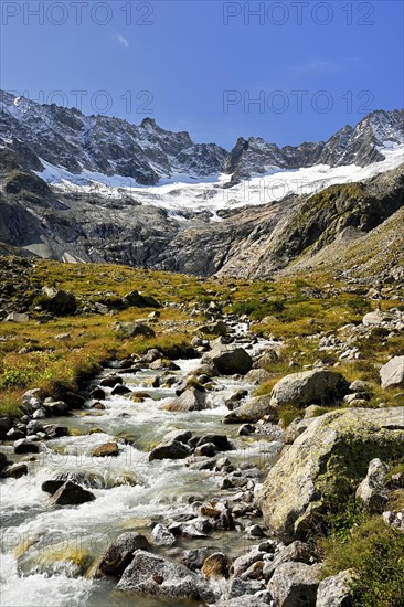 Damma glacier in front of a torrent in autumnal surroundings