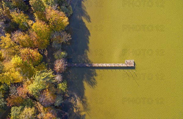Autumn atmosphere at Lake Starnberg near St. Heinrich