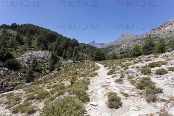 Hiking trail on former mule tracks in the mountains of Corsica