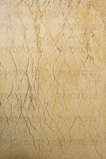 Wavy pattern due to water current in the sand