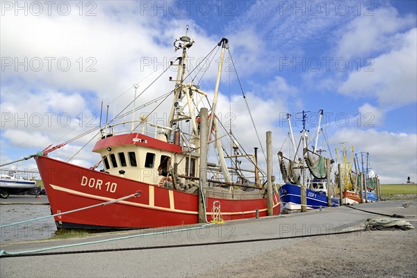 Fishing cutter in the seal harbour Dorum-Neufeld
