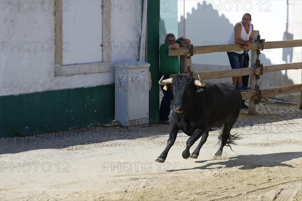 Street corrida during the Festas do Barrete Verde e das Salinas
