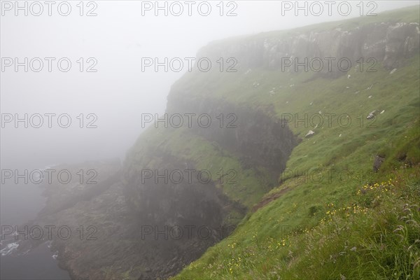 Steep coast in the fog