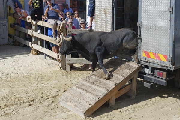Street corrida during the Festas do Barrete Verde e das Salinas