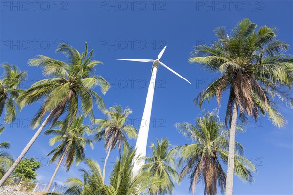 Wind turbine surrounded by palm trees