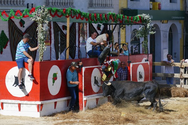 Street corrida during the Festas do Barrete Verde e das Salinas