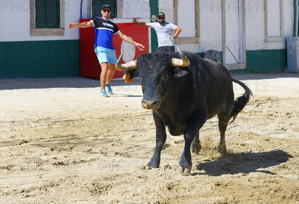 Street corrida during the Festas do Barrete Verde e das Salinas